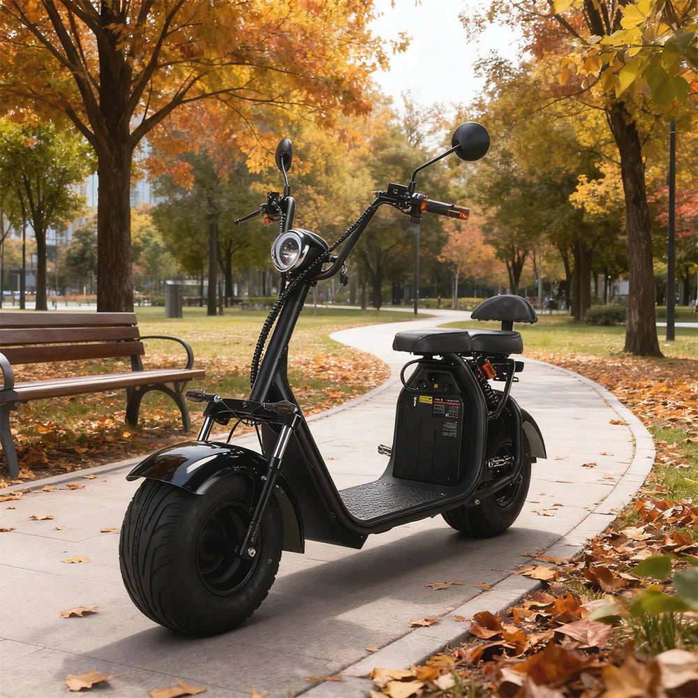 3000W 60V 12Ah Electric Scooter Off Road With Brushless Motor – Retro Style, Dual Seat, Hydraulic Disc Brakes