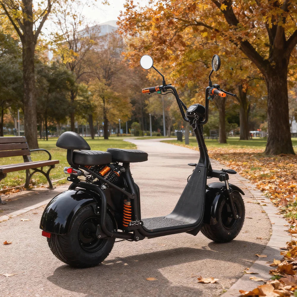 3000W 60V 12Ah Electric Scooter Off Road With Brushless Motor – Retro Style, Dual Seat, Hydraulic Disc Brakes