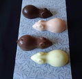 Magical Chocolate Mice