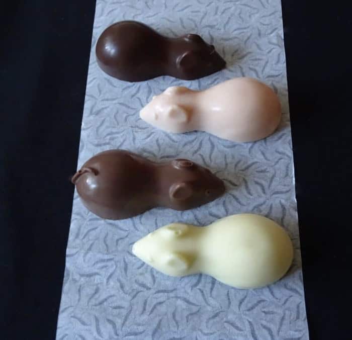 Magical Chocolate Mice