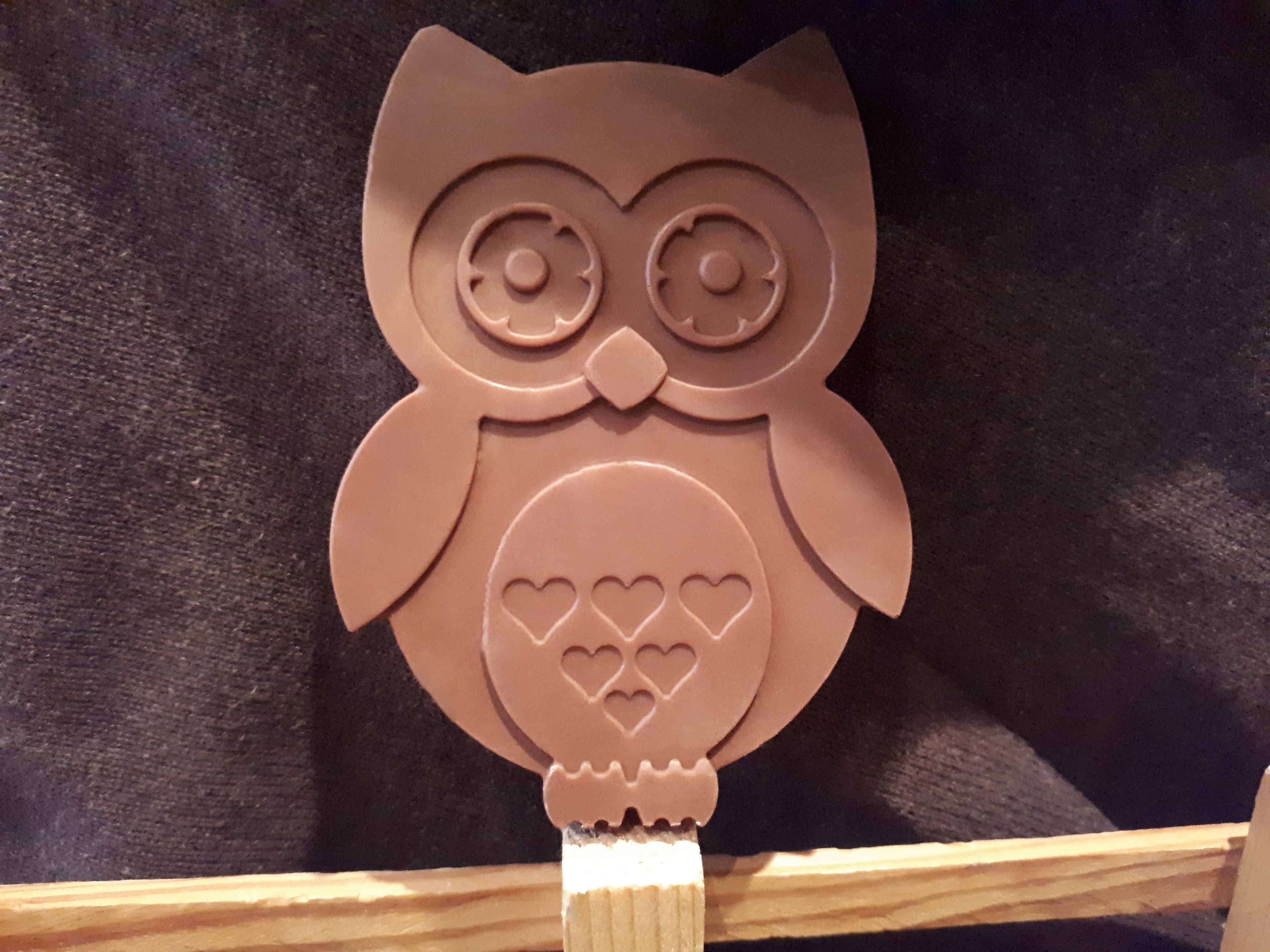 Beautiful Chocolate Owl