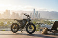 Fortis FatBro Plus 48V 13Ah Fat Tyre Electric Bike