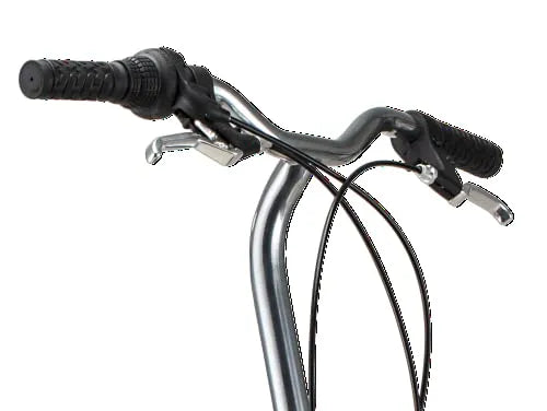 Schwinn Loop 20-Inch Folding Bike, 7-Speed, Step-Through Frame, Adult Commuter Bicycle with Cargo Rack
