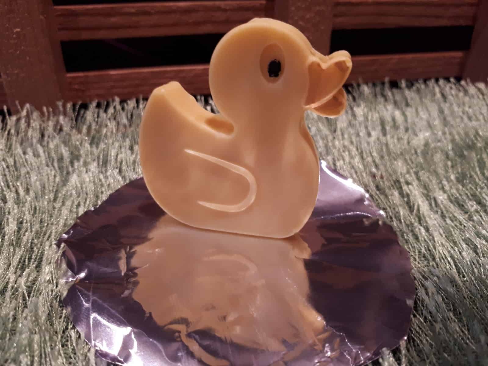 The amazing Chocolate Duck