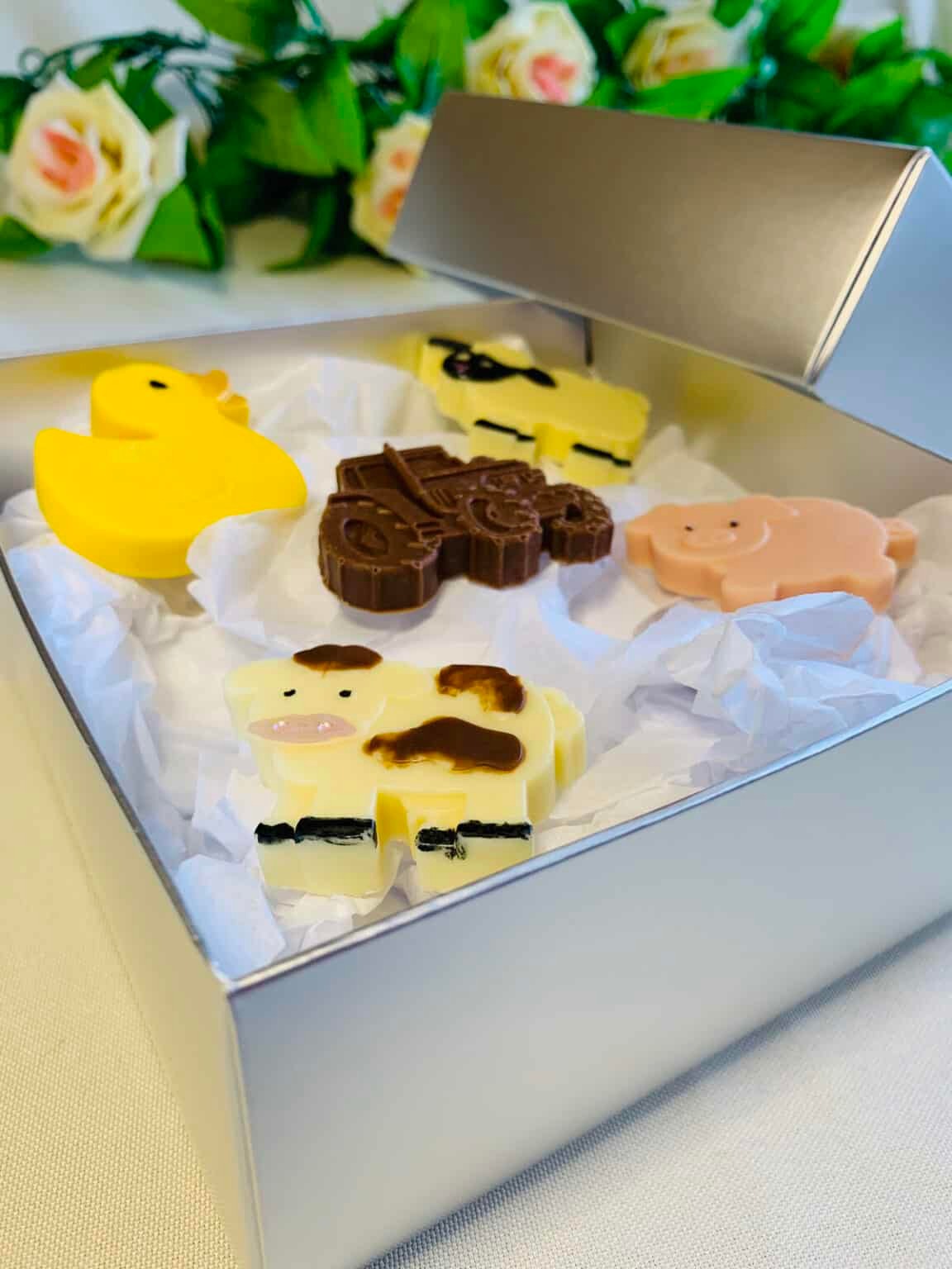 The amazing Chocolate Duck